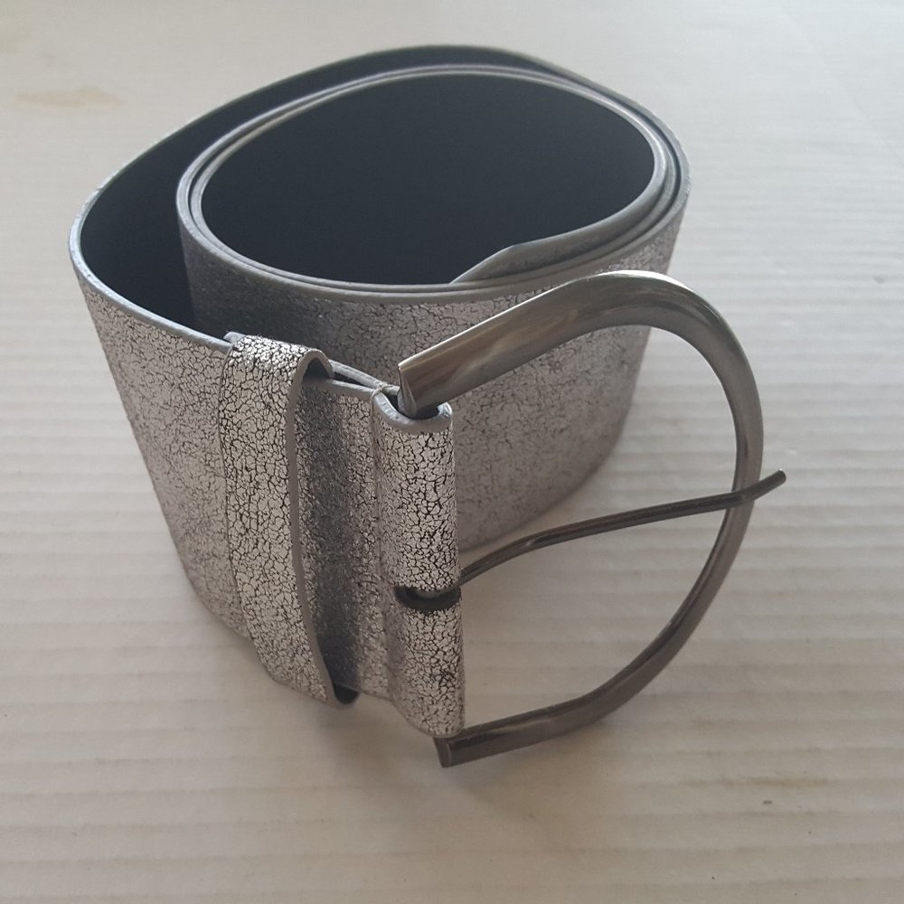 Vintage Wide Shiny Silver Glitter Fashion Belt Large Buckle Retro Style Curved